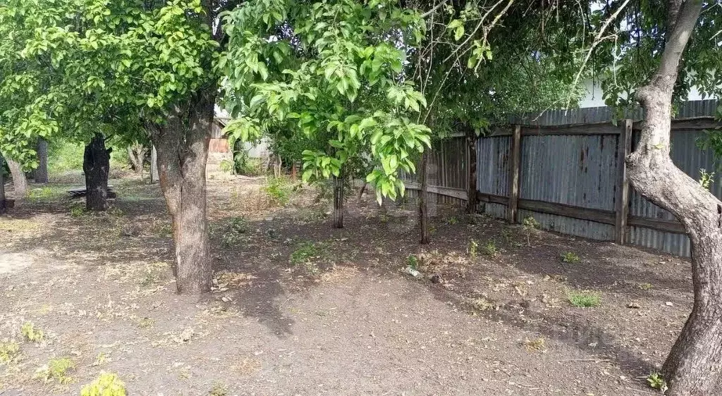 Дом в Саратовская область, Романовка рп ул. Садовая, 93 (32 м) - Фото 1