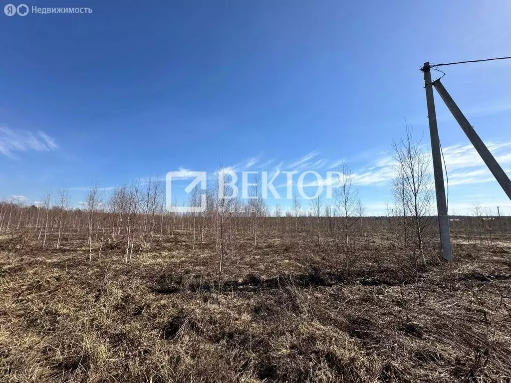 Участок в Костромской район, Бакшеевское сельское поселение, деревня ... - Фото 1