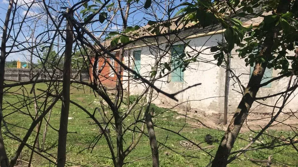 Дом в Тамбовская область, Инжавинский муниципальный округ, с. Балыклей ... - Фото 0