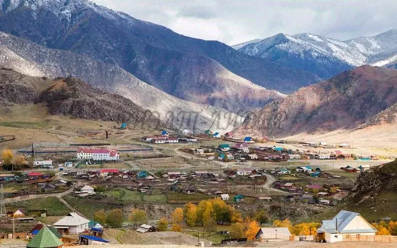 Участок в Алтай, Онгудайский район, с. Купчегень ул. Партизанская ... - Фото 1