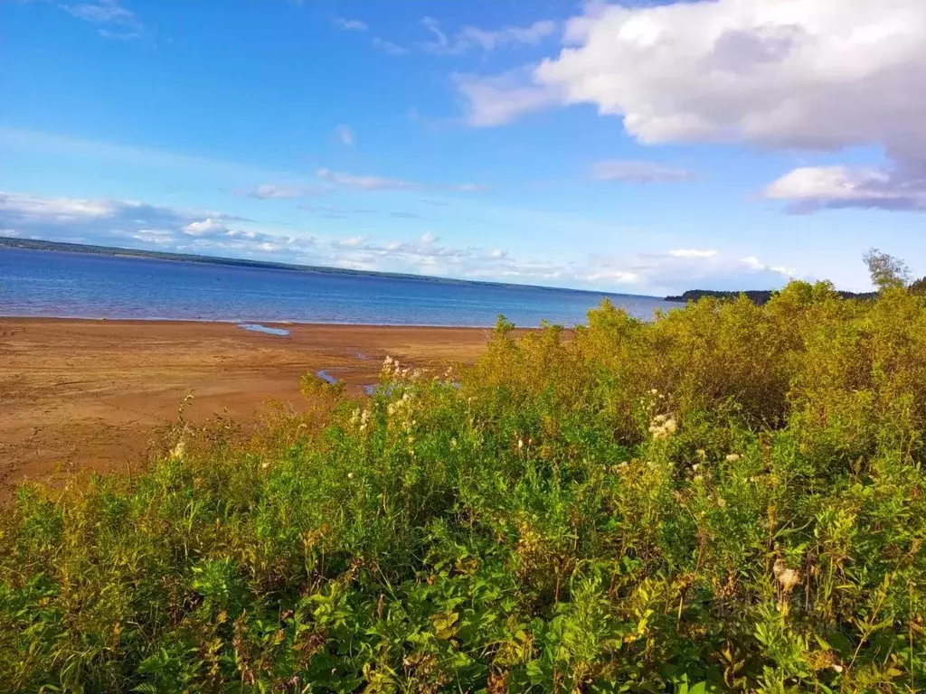 Участок в Пермский край, Ильинский городской округ, д. Назарова 17 ... - Фото 1