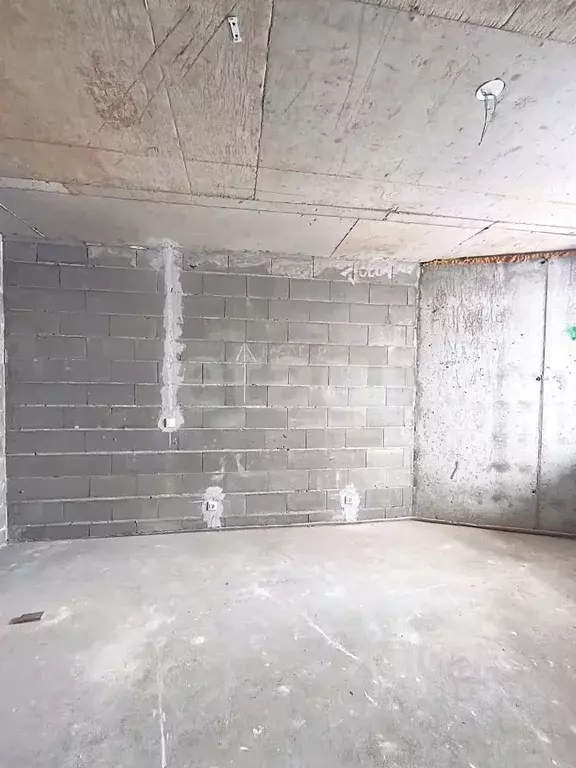 Студия Ленинградская область, Всеволожск ш. Дорога Жизни, 7к3 (23.0 м) - Фото 1