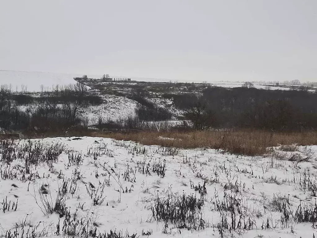 Участок в Белгородская область, Белгородский район, Крутологское ... - Фото 0