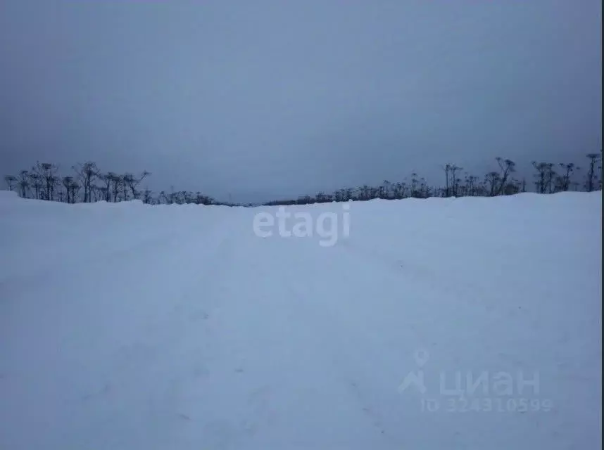 Участок в Пермский край, Пермский муниципальный округ, с. Курашим  ... - Фото 1
