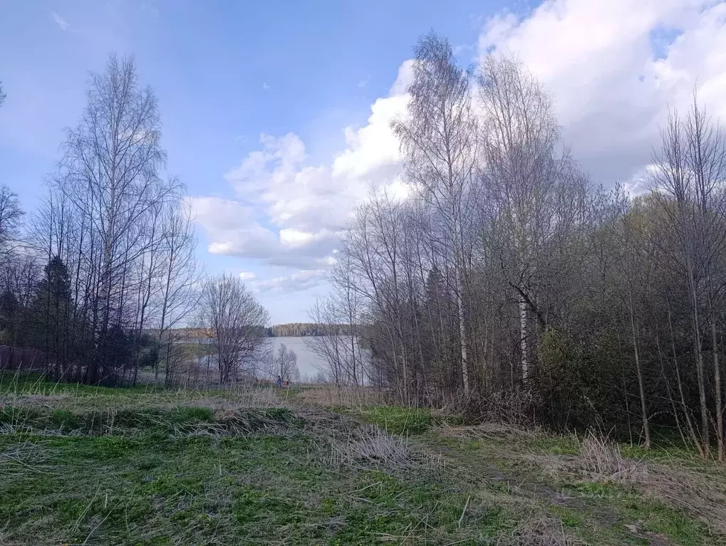 Участок в Московская область, Рузский муниципальный округ, д. Апухтино ... - Фото 2