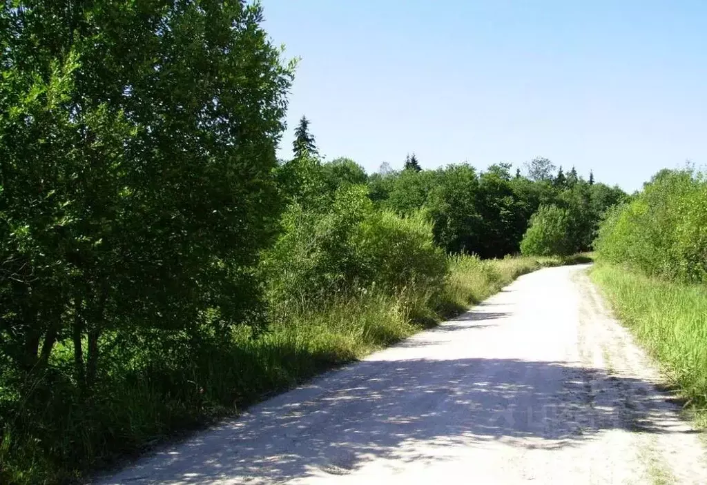 Участок в Адыгея, Тахтамукайское с/пос, пос. Отрадный ул. Павлова ... - Фото 1