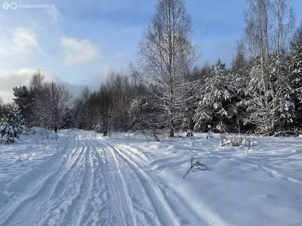 Участок в Тверская область, Кимрский муниципальный округ, деревня ... - Фото 1