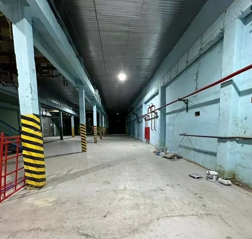 Производственное помещение в Санкт-Петербург пос. Металлострой, дор. ... - Фото 1