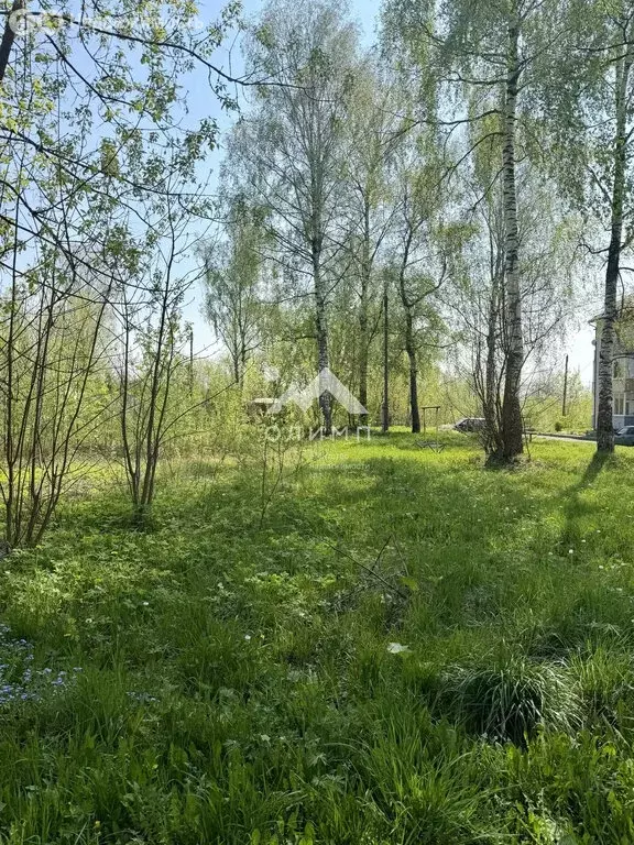 Участок в Ярославская область, Тутаевский муниципальный округ, рабочий ... - Фото 2