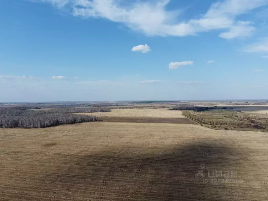 Участок в Челябинская область, Аргаяшский муниципальный округ  (100.0 ... - Фото 2