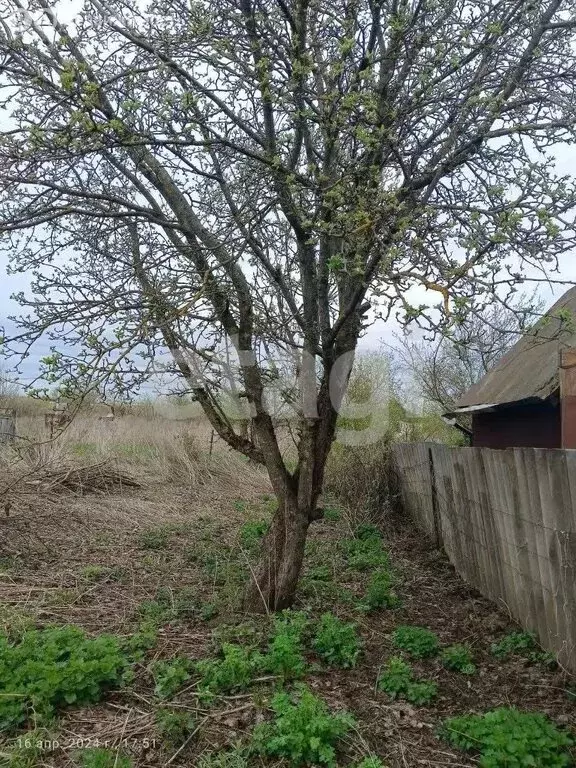 Участок в село Толмачево, СДТ Русь (5 м) - Фото 0