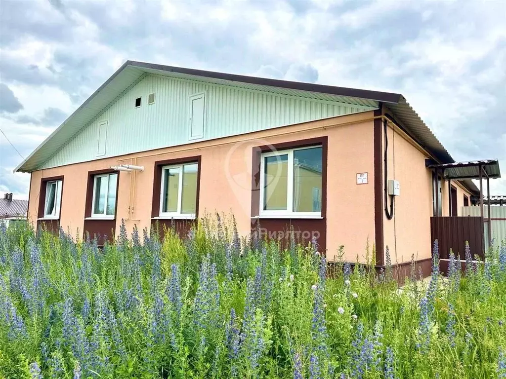 Дом в Рязанская область, Старожилово рп ул. Головнина, 223 (55 м) - Фото 1