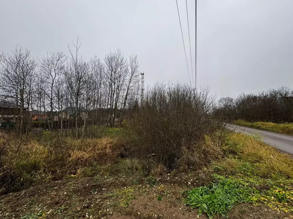 Участок в Московская область, Солнечногорск городской округ, д. ... - Фото 1