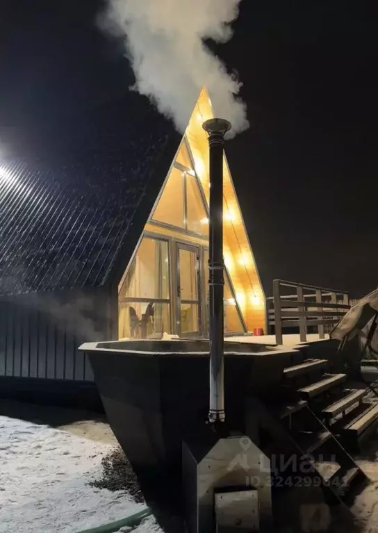 Дом в Московская область, Видное Школьная ул., 3 (55 м) - Фото 1