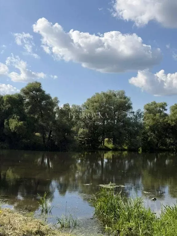 Участок в Московская область, Ступино городской округ, с. Семеновское  ... - Фото 1