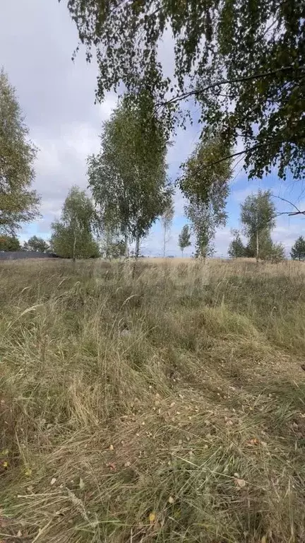 Участок в Владимирская область, Муром д. Березовка, ул. Плодовая (12.0 ... - Фото 1