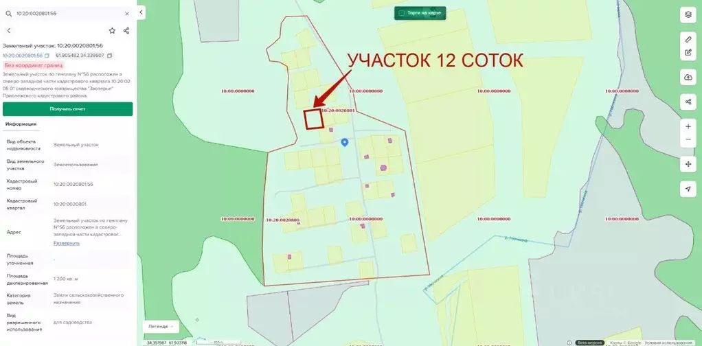 Участок в Карелия, Прионежский район, Заозерское с/пос, Заозерье СНТ  ... - Фото 2