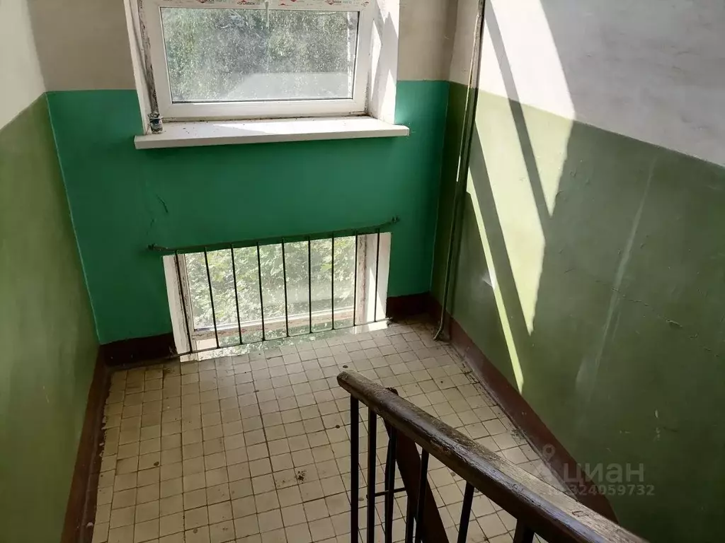 2-к кв. Московская область, Ногинск Богородский городской округ, ул. ... - Фото 2