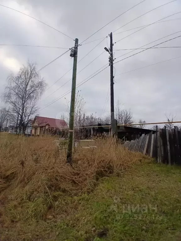 Участок в Нижегородская область, Выкса городской округ, с. Борковка ... - Фото 1