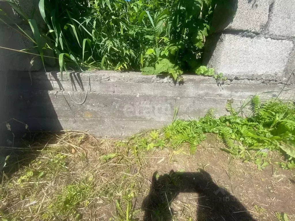 Участок в Камчатский край, Елизово Дубрава-2 СНТ,  (5.0 сот.) - Фото 2