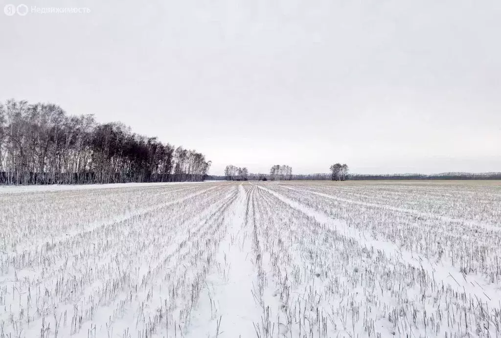 Участок в Омский район, село Калинино (11.7 м) - Фото 1