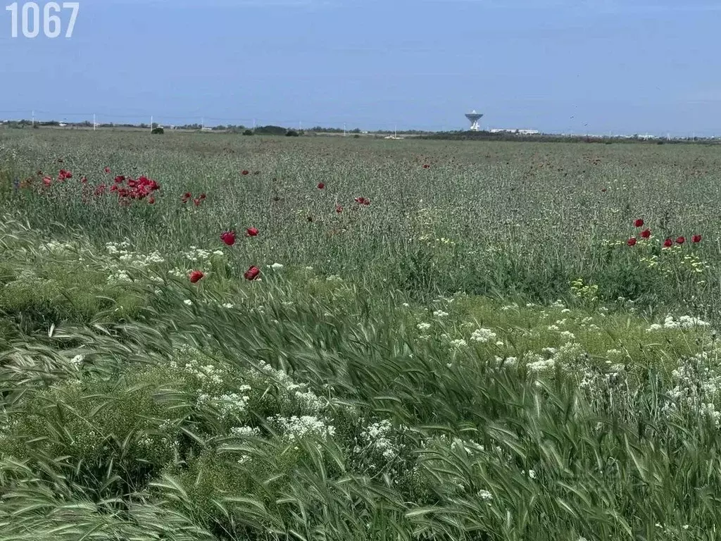 Дом в Крым, Сакский район, с. Уютное ул. Мира, 1 (125 м) - Фото 2