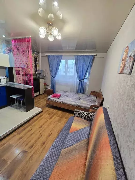 Студия Кировская область, Киров Комсомольская ул., 63 (27.0 м) - Фото 1