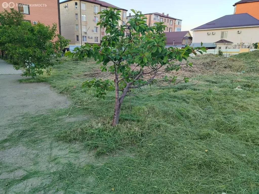 Участок в посёлок городского типа Яблоновский, Первомайская улица, 40 ... - Фото 2