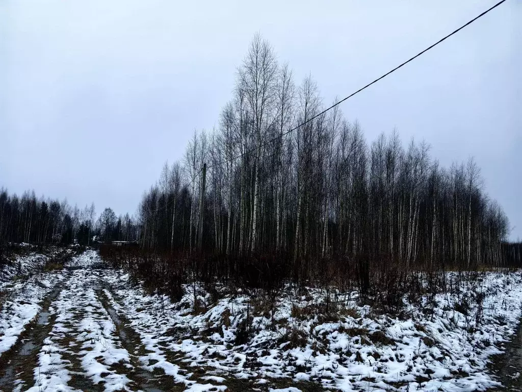Участок в Ярославская область, Рыбинский муниципальный округ, ... - Фото 2