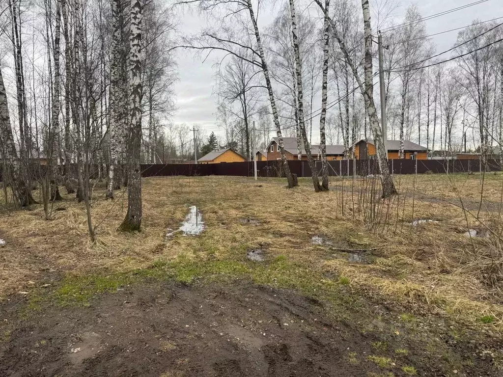 Участок в Московская область, Богородский городской округ, имени ... - Фото 2
