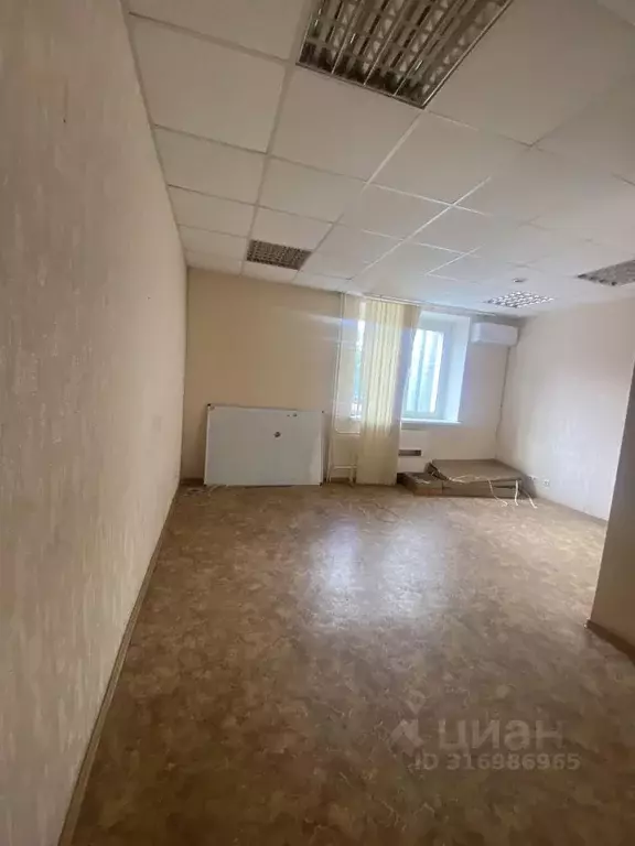 Помещение свободного назначения в Воронежская область, Воронеж ул. ... - Фото 0