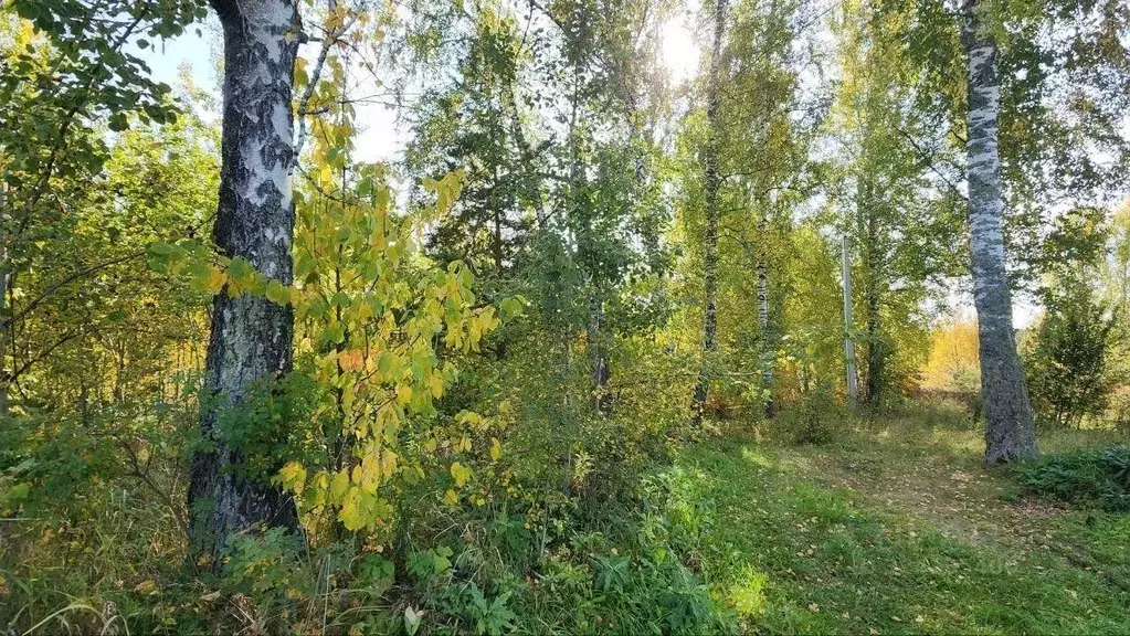 Участок в Томская область, Томский район, Богашевское с/пос, с. ... - Фото 2