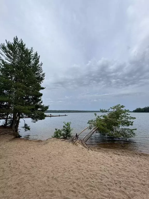 2-к кв. Ленинградская область, Кингисеппский район, Нежновское с/пос, ... - Фото 1
