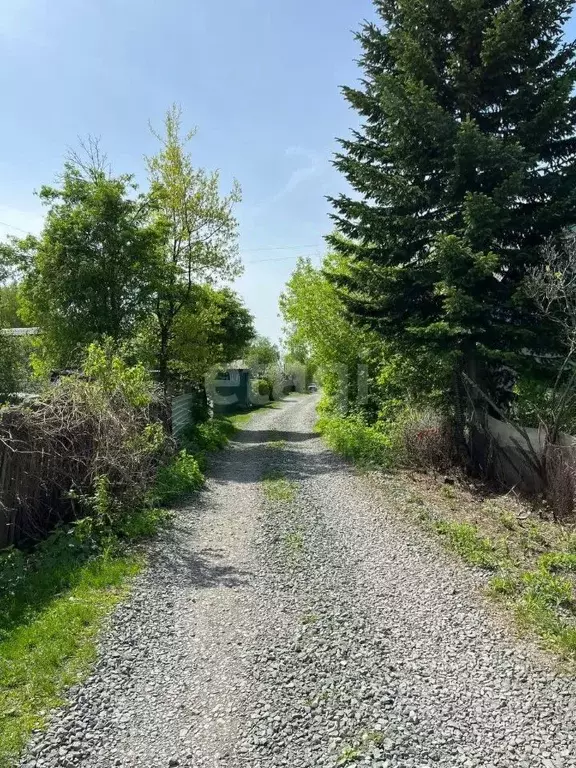 Дом в Кемеровская область, Кемерово Урожай СНТ, 645 (45 м) - Фото 0