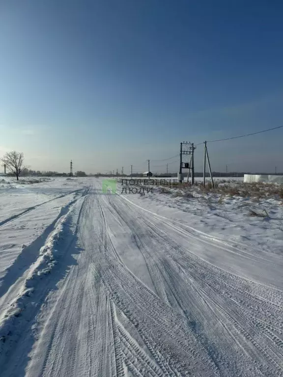 Участок в Хабаровский край, Хабаровский район, с. Восточное  (1120.0 ... - Фото 0