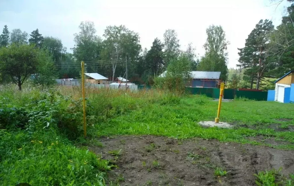 Участок в Ростовская область, Багаевский район, Манычская ст-ца ул. ... - Фото 0