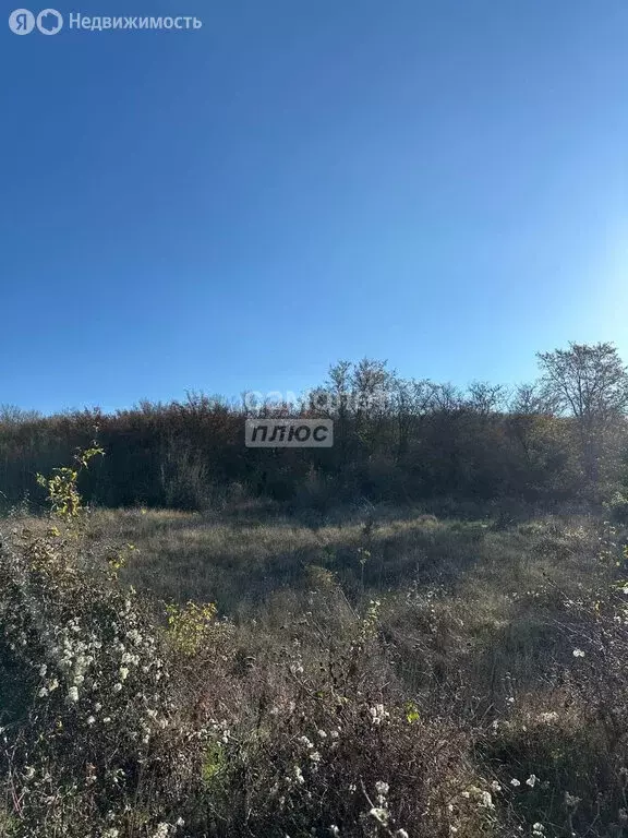 Участок в Супсех, Андреевская улица (5 м) - Фото 1