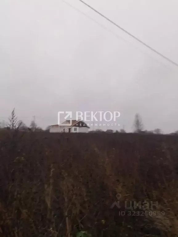 Участок в Костромская область, Кострома Соколиное Гнездо кп, 1 (7.2 ... - Фото 0