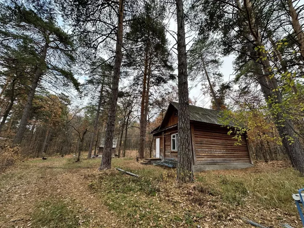 Помещение свободного назначения в Самарская область, Сызранский район, ... - Фото 1