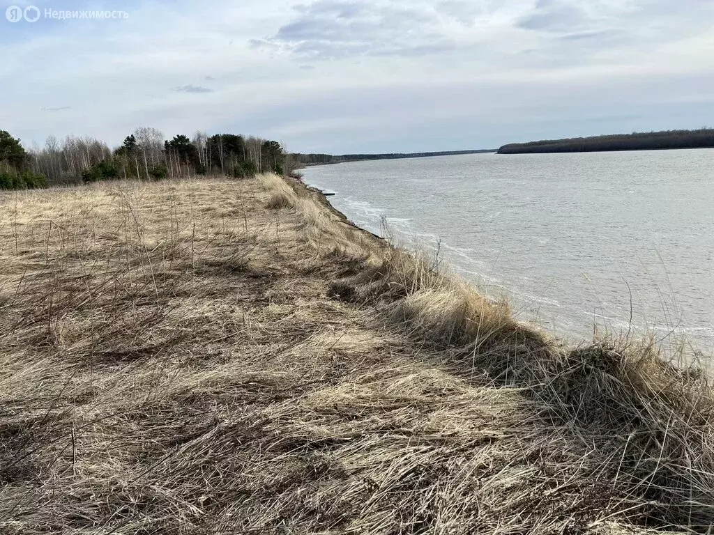 Участок в Тюменская область, Тобольский муниципальный округ, ... - Фото 1