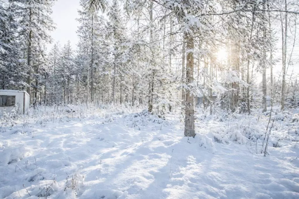 Участок в Одинцовский городской округ, деревня Сивково (9 м) - Фото 2