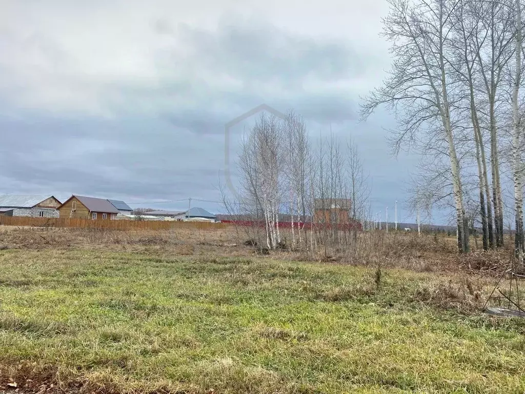 Участок в Новосибирская область, Новосибирский район, Толмачевский ... - Фото 2