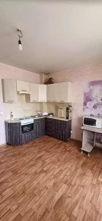 Квартира-студия, 24 м, 2/3 эт. - Фото 1