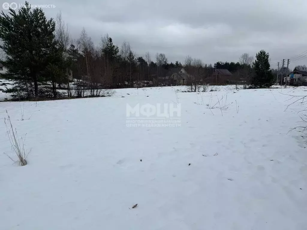 Участок в Прионежский район, село Заозерье (25 м) - Фото 2