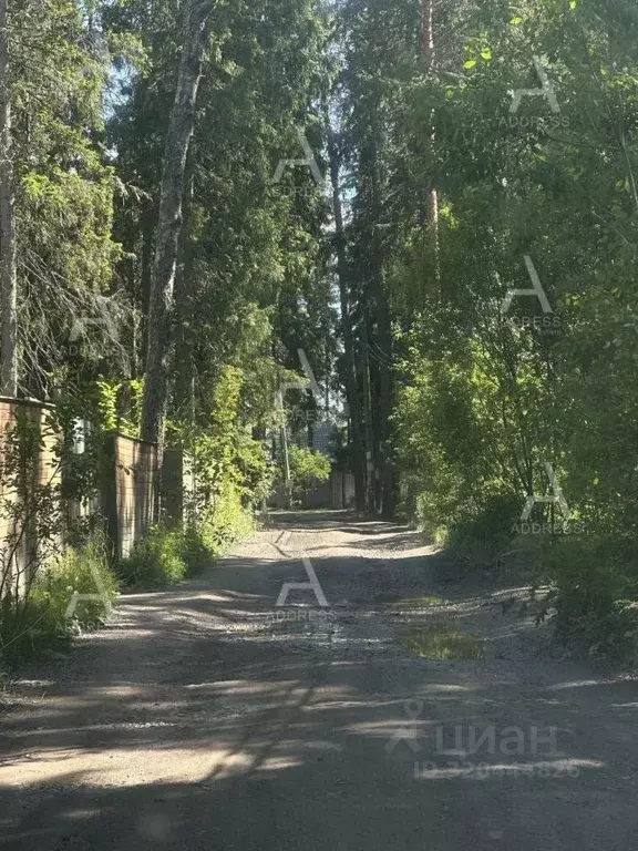 Участок в Ленинградская область, Выборгский район, Рощинское городское ... - Фото 0