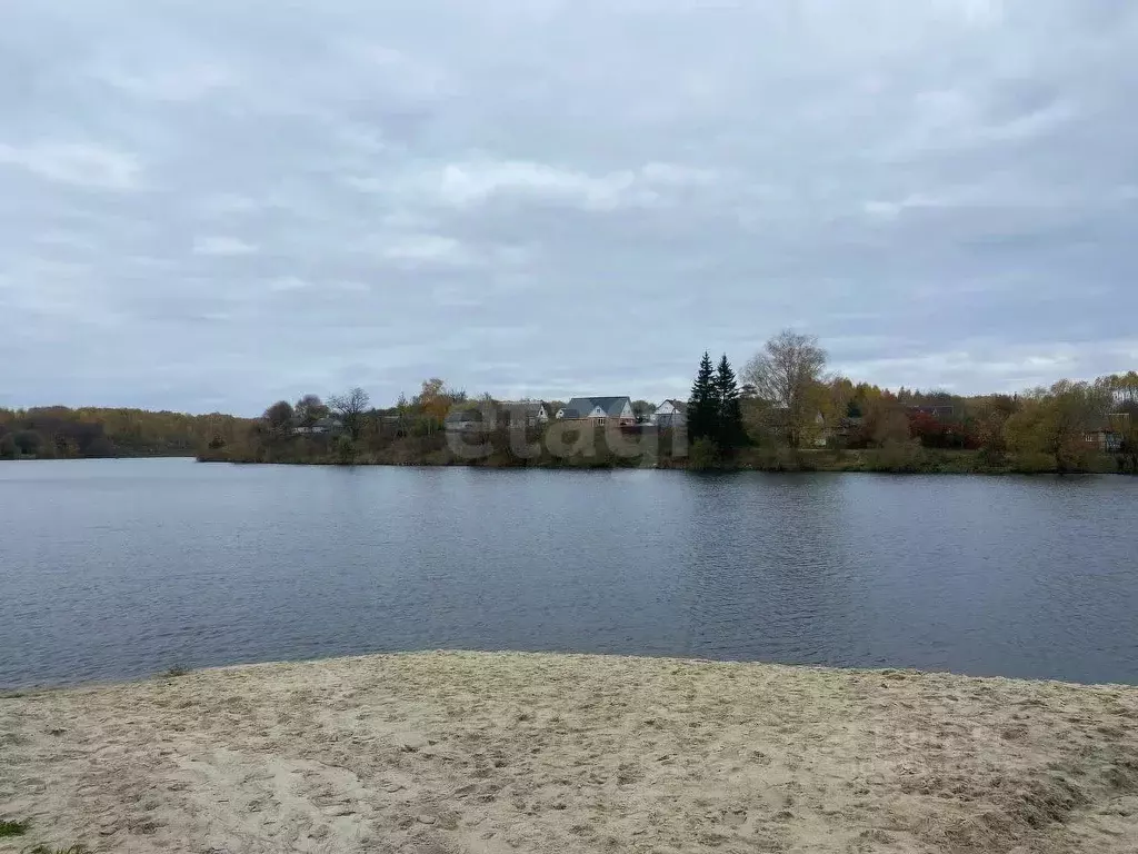 Участок в Брянская область, Жуковский муниципальный округ, с. Овстуг ... - Фото 1