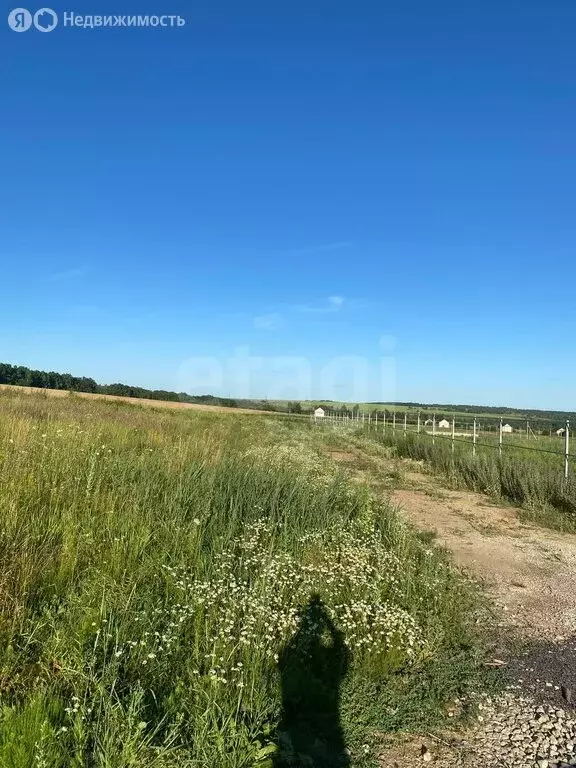 Участок в Болховский район, Новосинецкое сельское поселение, деревня ... - Фото 1