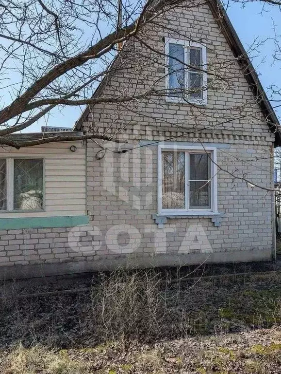 Дом в Воронежская область, Воронеж Березовское СНТ, ул. Сиреневая, 184 ... - Фото 1