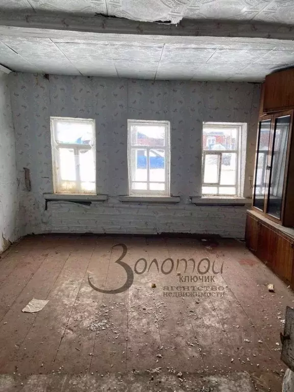 Дом в Нижегородская область, Арзамас городской округ, с. Большое ... - Фото 2