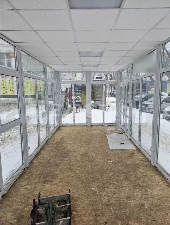 Торговая площадь в Ульяновская область, Ульяновск ул. Шевченко, 93/2 ... - Фото 2